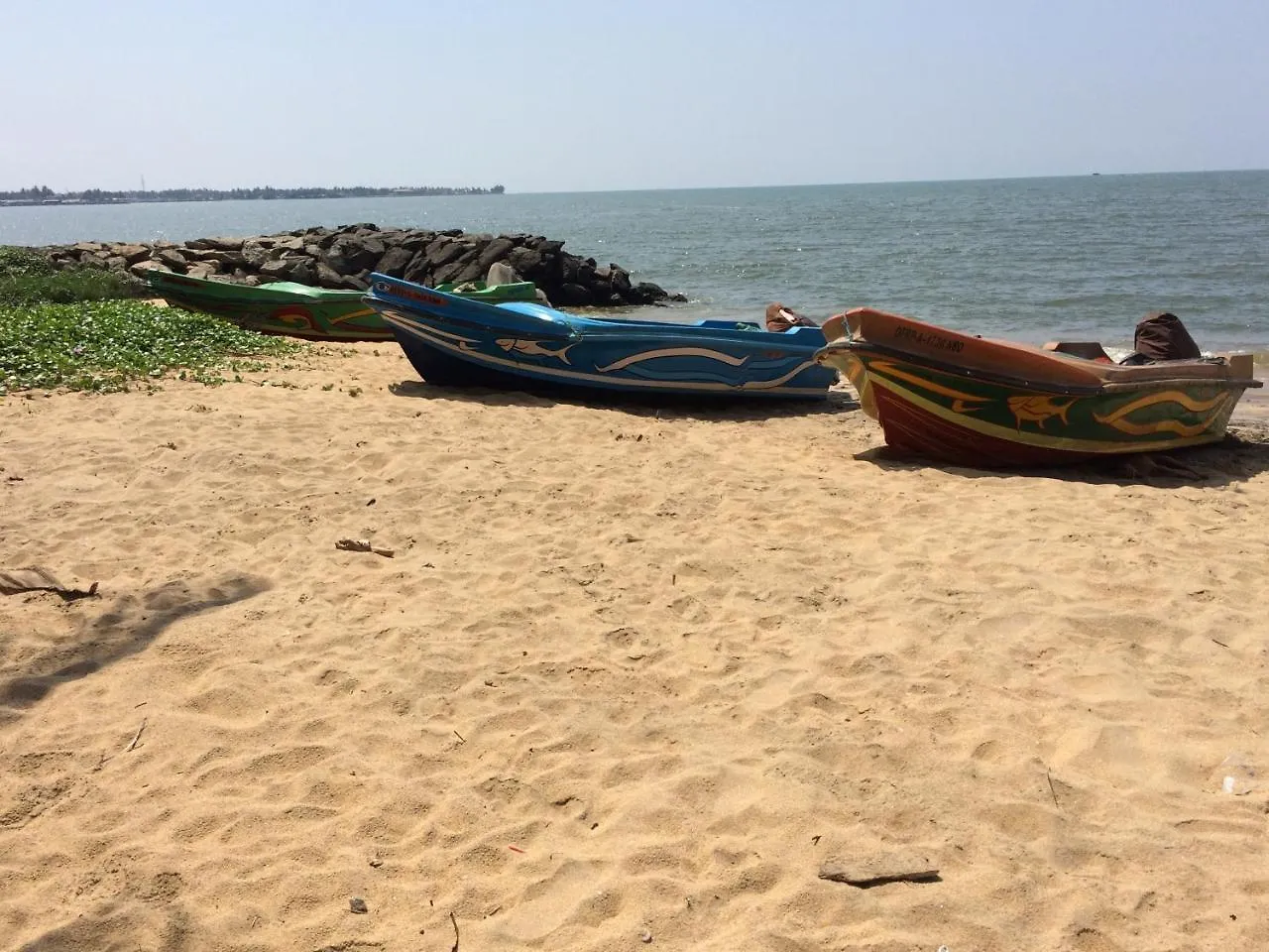 Homestay The Alexis'S Guest House Negombo Sri Lanka